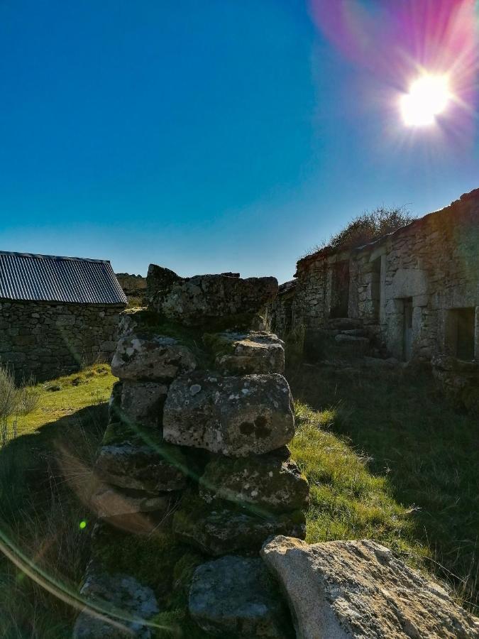 Casa Largo S Lourenco E Casa Da Videira Mazes Eksteriør billede